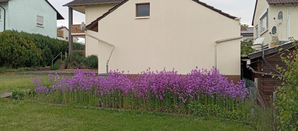 IMG_20260512_194420 Einfamilienhaus Kirchheim an der Weinstra�e